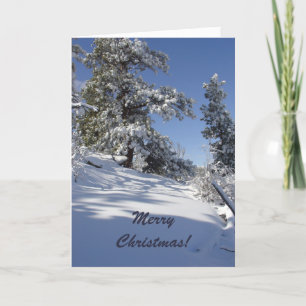Witte Kerst Schilderachtig Foto Kaart