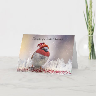 Witte KerstmisSnowbird Florida Kerstmis Kaart