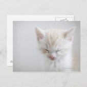 Witte keuken briefkaart (Voorkant / Achterkant)