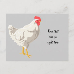 Witte kip briefkaart