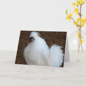 Witte Kip Silkie Kaart (Gele Bloem)