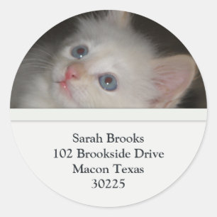 Witte kitten Adresetiketten Ronde Sticker