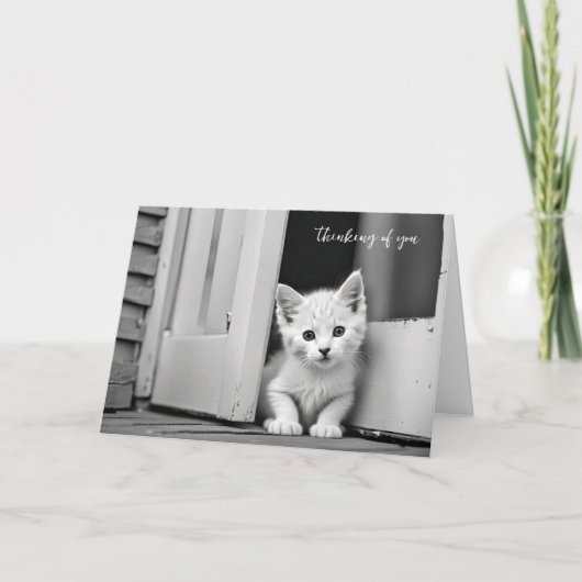 Witte kitten in deuropening denken aan je kaart (Voorkant)