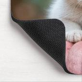 Witte kitten op roze pompoen muismat (Hoek)