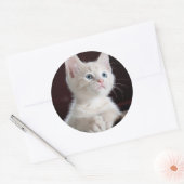 Witte kitten ronde sticker (Envelop)