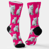 Witte kitten roze achtergrond sokken (Gebogen)