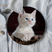 Witte kittenportret ronde button 6,0 cm (In situ)
