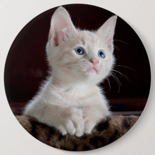 Witte kittenportret ronde button 6,0 cm