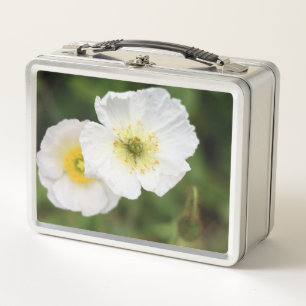 Witte Klaproos Close-up Bloem Lunchbox