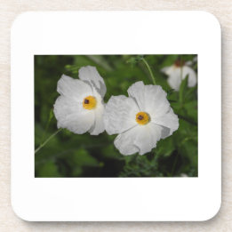 Witte klaprozen botanische bloem bier onderzetter