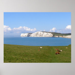 Witte kliffen van het eiland Wight Poster