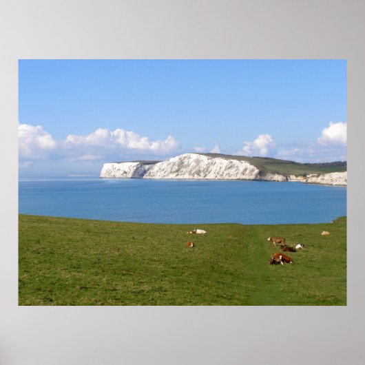 Witte kliffen van het eiland Wight Poster (Voorkant)