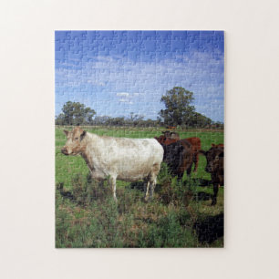 Witte koe leidt een kudde, legpuzzel