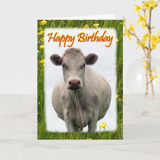Witte koe verjaardagskaart kaart (Gele Bloem)