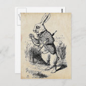  witte konijn briefkaart (Voorkant / Achterkant)