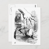 Witte konijn briefkaart (Voorkant / Achterkant)