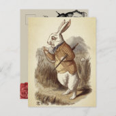 Witte konijn briefkaart (Voorkant / Achterkant)