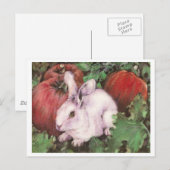 Witte konijn in de pompoen briefkaart (Voorkant / Achterkant)