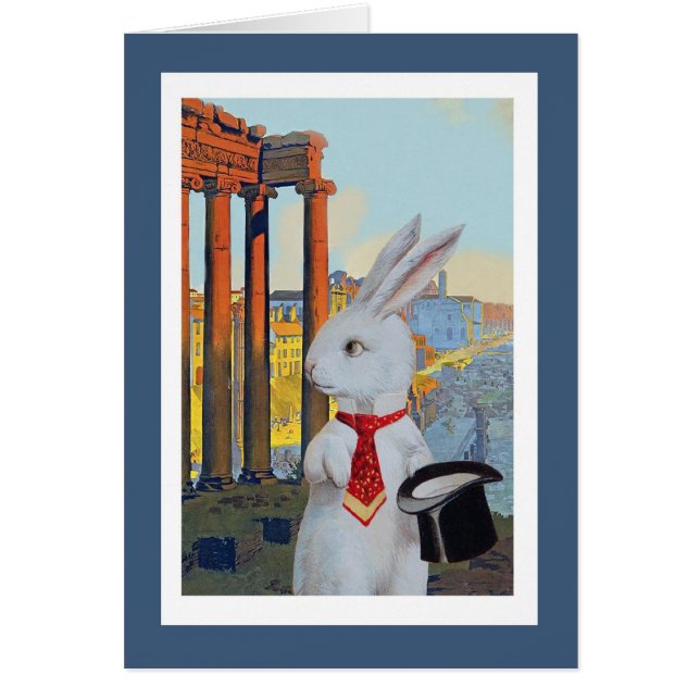 Witte konijn in Rome (Voorkant)