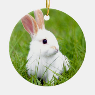 Witte konijn keramisch ornament