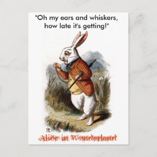 Witte konijn (kleur) briefkaart