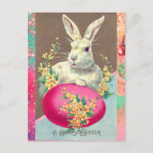 WITTE KONIJN MET EENVOUDIGERE EGG- EN SPRINGSTROME FEESTDAGENKAART (Voorkant)