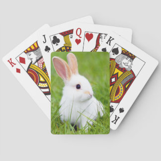 Witte konijn pokerkaarten