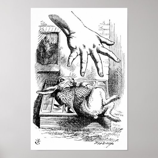 Witte konijn poster (Voorkant)