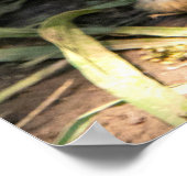 Witte konijn poster (Hoek)