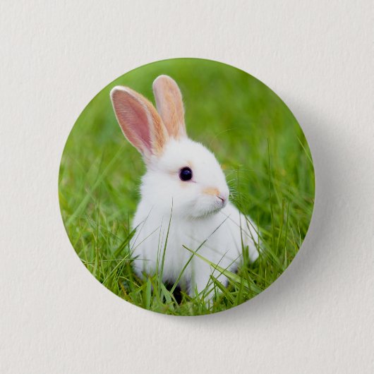 Witte konijn ronde button 5,7 cm (Voorkant)