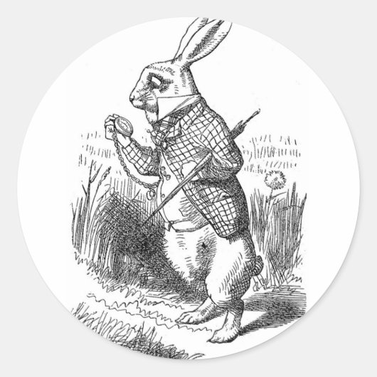 Witte konijn ronde sticker (Voorkant)