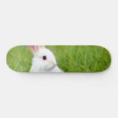 Witte konijn skateboard (Horizontaal)