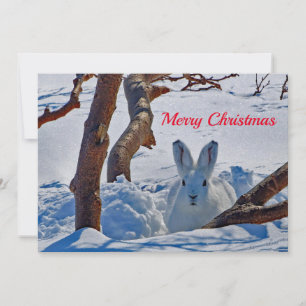 Witte Konijn Sneeuw Foto Kerst Flat Feestdagenkaart