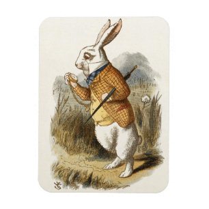 Witte konijn van Alice in Wonderland  Kunst Magneet
