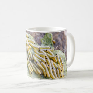 Witte kool Mokken