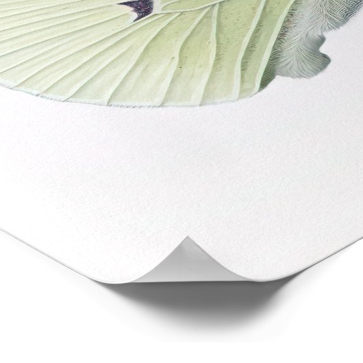 Witte Kool Vlinder Art Print Poster (Hoek)
