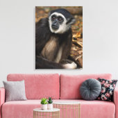 Witte koolstof (Hylobates Lar), Monkeyland Canvas Afdruk (Insitu (Woonkamer))