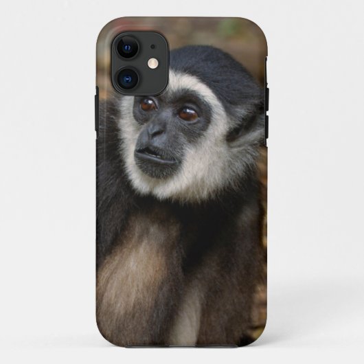 Witte koolstof (Hylobates Lar), Monkeyland Case-Mate iPhone Case (Achterkant)