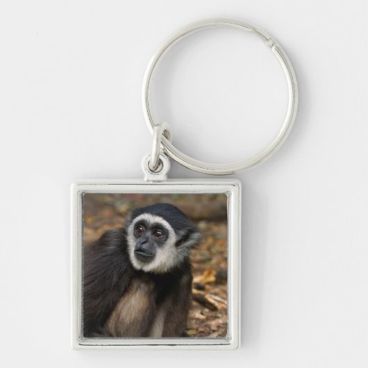 Witte koolstof (Hylobates Lar), Monkeyland Sleutelhanger (Voorkant)