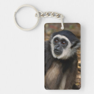 Witte koolstof (Hylobates Lar), Monkeyland Sleutelhanger