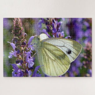 Witte koolvlinder Pieris Rapae. Legpuzzel
