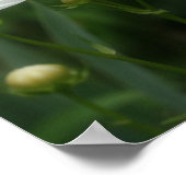 Witte kosmos bloemen en bijenspiegel Abstract Poster (Hoek)