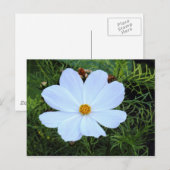 Witte kosmos briefkaart (Voorkant / Achterkant)