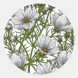 Witte kosmosbloemen ronde sticker