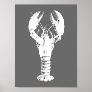 Witte kreeft op grijs / grijs poster