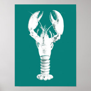 Witte kreeft op Turquoise / Blauwgroen Poster