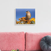 Witte kruipen Sparrow die op de Tansy zit Canvas Afdruk (Insitu (Woonkamer))