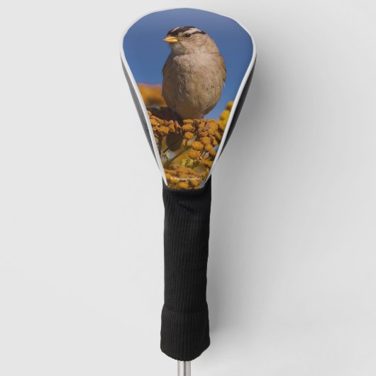 Witte kruipen Sparrow die op de Tansy zit Golfheadcover (Voorkant)