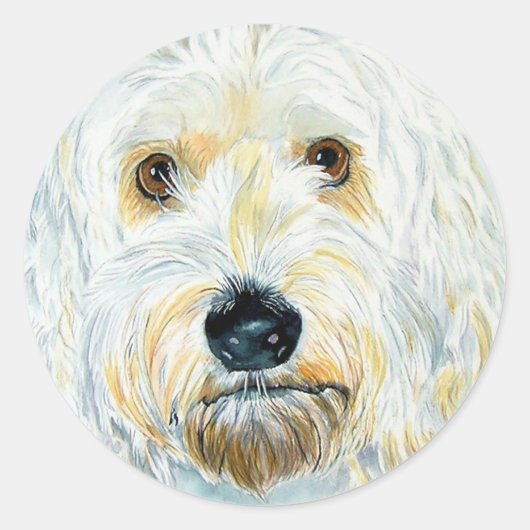 Witte Labradoodle Maggie Stickers (Voorkant)