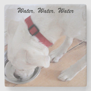 Witte labrador Meng Puppy Dog Drink water Stenen Onderzetter